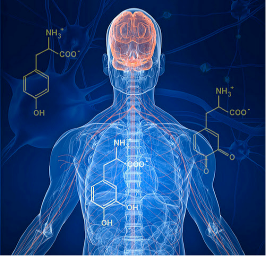 Effets nocifs des produits chimiques sur le corps humain Effets nocifs des produits chimiques sur le corps humain