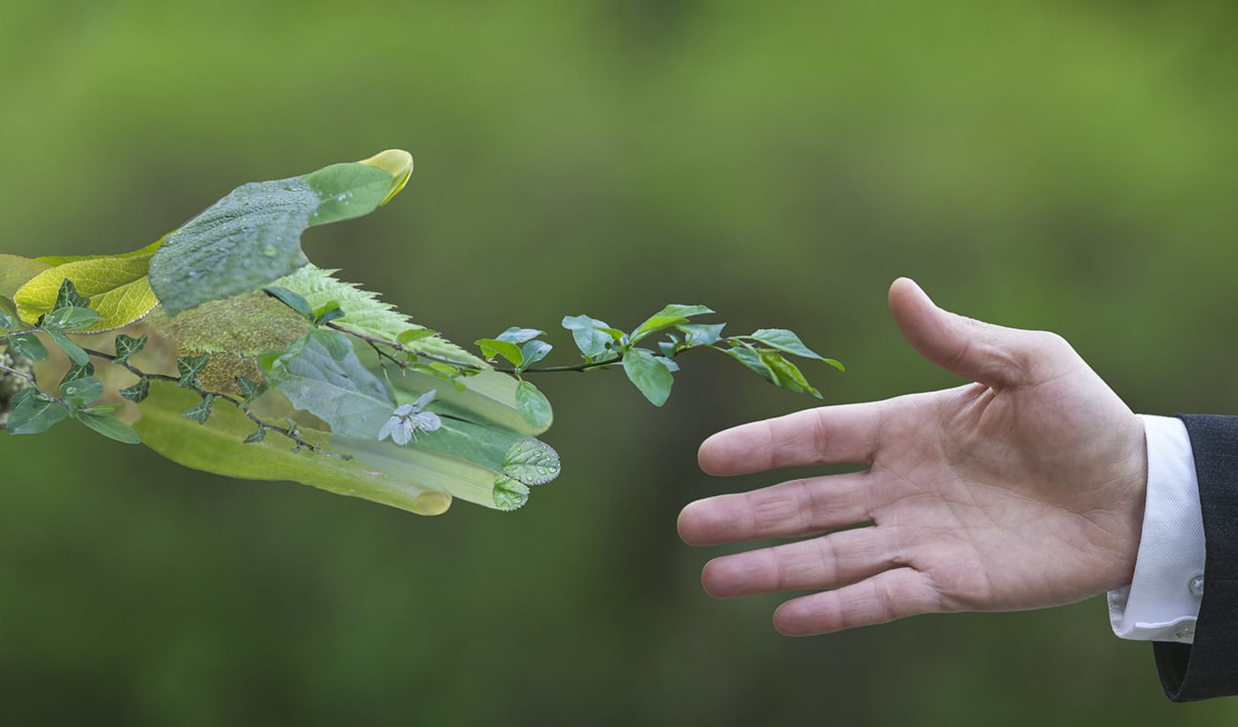 Avantages du SME Avantages du SME