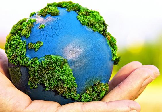 TBT (Sensibilisation à l'environnement TBT (Sensibilisation à l'environnement