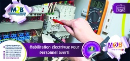 [M2BS_SFO_B_SAFE_CT_SE_102] Habilitation électrique pour personnel averti