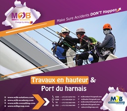 [M2BS_WSHE_530_100] Travaux en hauteur &amp; Port du harnais