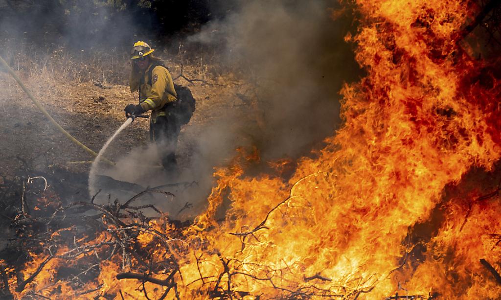 Piège à incendie