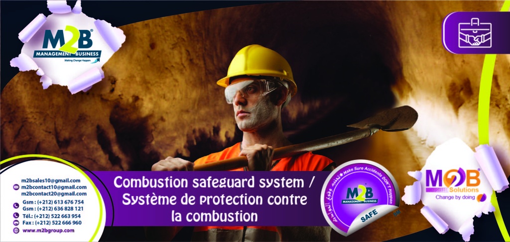 Combustion safeguard system / Système de protection contre la combustion