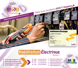 [iSafe_WSHE_300_100] Habilitation électrique (Niveau 1)