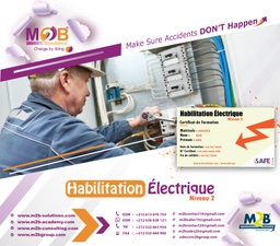 [iSafe_WSHE_300_200] Habilitation électrique (Niveau 2)