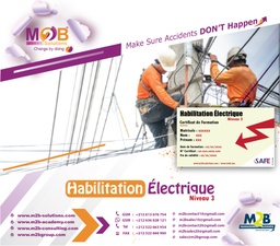 [iSafe_WSHE_300_300] Habilitation électrique (Niveau 3)