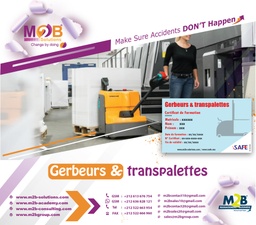 [iSafe_WSHE_500_200] Gerbeurs &amp; transpalettes