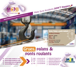 [iSafe_WSHE_510_100] Cranes, Palans &amp; roulants