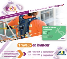 [iSafe_WSHE_530_100] Travaux en hauteur
