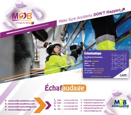 [iSafe_WSHE_530_300] Échafaudage