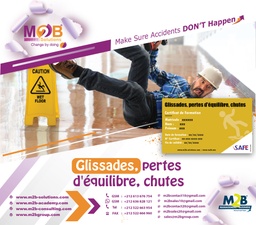 [iSAFE_EX_S_700] Glissades, pertes d'équilibre, chutes