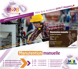[iSafe_WSHE_700_200] Manutention manuelle