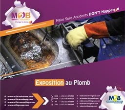 [M2BS_WSHE_400_300] Exposition au Plomb