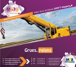 [M2BS_WSHE_510_100] Grues, palans