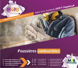 [M2BS_WSHE_400_100] Poussières combustibles