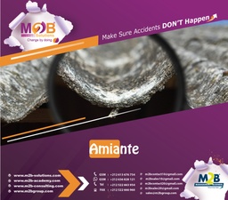 [M2BS_WSHE_400_201] Amiante
